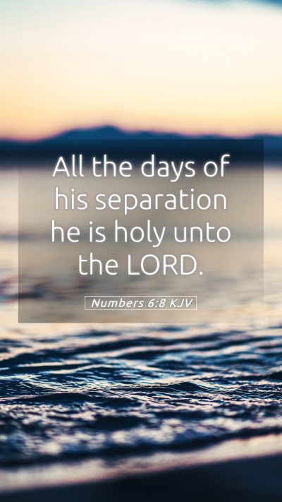 Picture 05 - Numbers 6:8 KJV Mobile Phone Wallpaper - All the days of his separation he is holy unto - Mobile Bible Verse Wallpaper