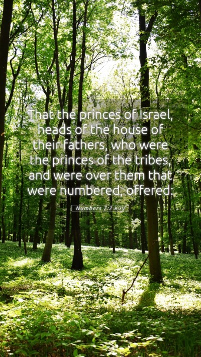 Picture 05 - Numbers 7:2 KJV Mobile Phone Wallpaper - That the princes of Israel, heads of the house of - Mobile Bible Verse Wallpaper