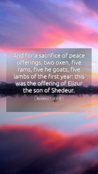 Picture 05 - Numbers 7:35 KJV Mobile Phone Wallpaper - And for a sacrifice of peace offerings, two oxen, - Mobile Bible Verse Wallpaper