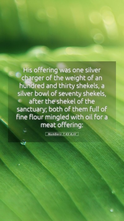 Picture 05 - Numbers 7:43 KJV Mobile Phone Wallpaper - His offering was one silver charger of the weight - Mobile Bible Verse Wallpaper