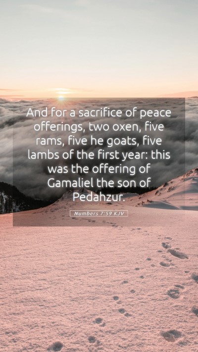 Picture 05 - Numbers 7:59 KJV Mobile Phone Wallpaper - And for a sacrifice of peace offerings, two oxen, - Mobile Bible Verse Wallpaper