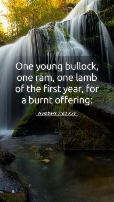 Picture 05 - Numbers 7:63 KJV Mobile Phone Wallpaper - One young bullock, one ram, one lamb of the first - Mobile Bible Verse Wallpaper