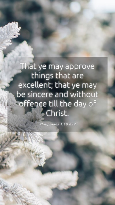 Picture 05 - Philippians 1:10 KJV Mobile Phone Wallpaper - That ye may approve things that are excellent; - Mobile Bible Verse Wallpaper