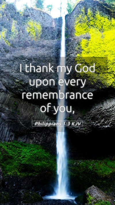 Picture 05 - Philippians 1:3 KJV Mobile Phone Wallpaper - I thank my God upon every remembrance of - Mobile Bible Verse Wallpaper