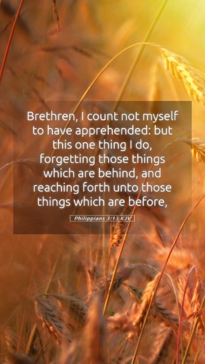 Picture 05 - Philippians 3:13 KJV Mobile Phone Wallpaper - Brethren, I count not myself to have apprehended: - Mobile Bible Verse Wallpaper