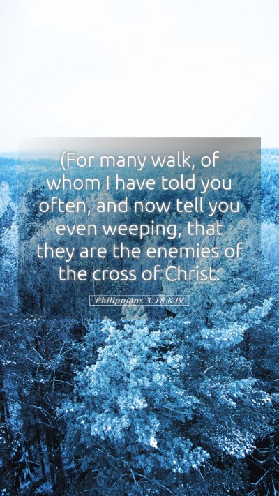 Picture 05 - Philippians 3:18 KJV Mobile Phone Wallpaper - (For many walk, of whom I have told you often, - Mobile Bible Verse Wallpaper