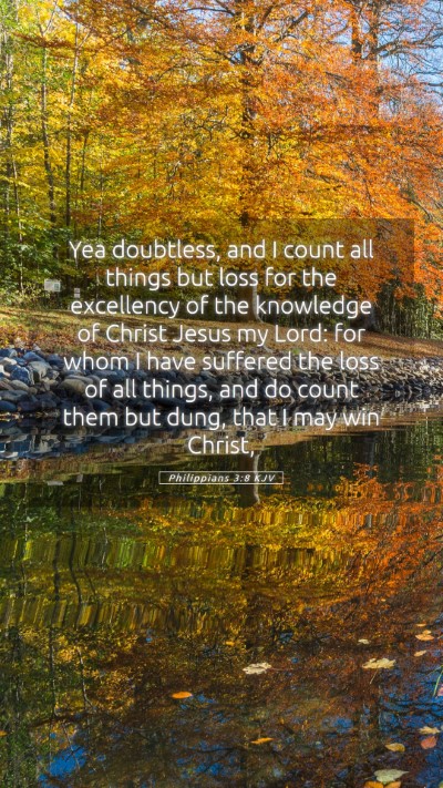 Picture 05 - Philippians 3:8 KJV Mobile Phone Wallpaper - Yea doubtless, and I count all things but loss - Mobile Bible Verse Wallpaper