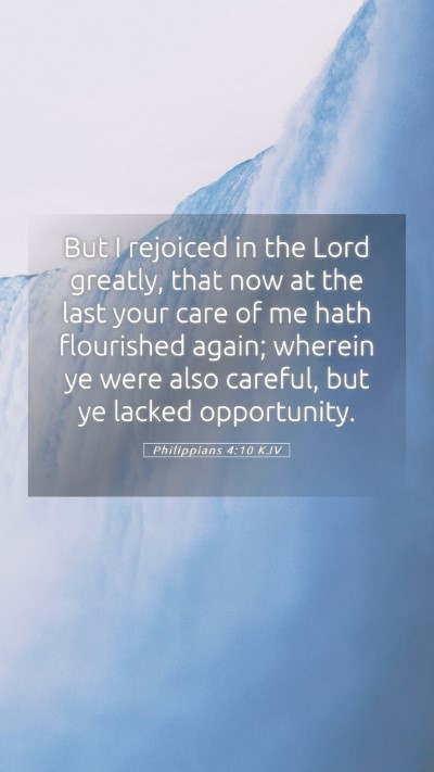 Picture 05 - Philippians 4:10 KJV Mobile Phone Wallpaper - But I rejoiced in the Lord greatly, that now at - Mobile Bible Verse Wallpaper