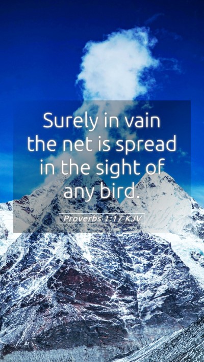 Picture 05 - Proverbs 1:17 KJV Mobile Phone Wallpaper - Surely in vain the net is spread in the sight of - Mobile Bible Verse Wallpaper