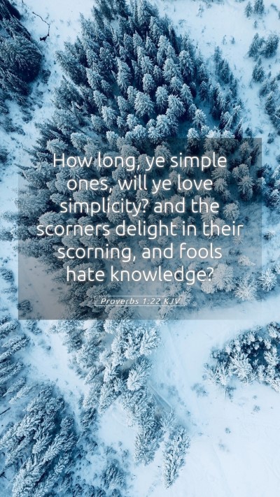 Picture 05 - Proverbs 1:22 KJV Mobile Phone Wallpaper - How long, ye simple ones, will ye love - Mobile Bible Verse Wallpaper