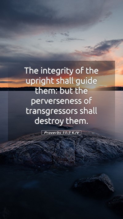 Picture 05 - Proverbs 11:3 KJV Mobile Phone Wallpaper - The integrity of the upright shall guide them: - Mobile Bible Verse Wallpaper