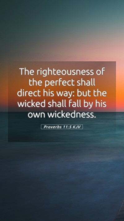 Picture 05 - Proverbs 11:5 KJV Mobile Phone Wallpaper - The righteousness of the perfect shall direct his - Mobile Bible Verse Wallpaper