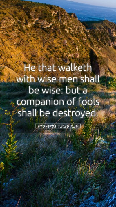 Picture 05 - Proverbs 13:20 KJV Mobile Phone Wallpaper - He that walketh with wise men shall be wise: but - Mobile Bible Verse Wallpaper