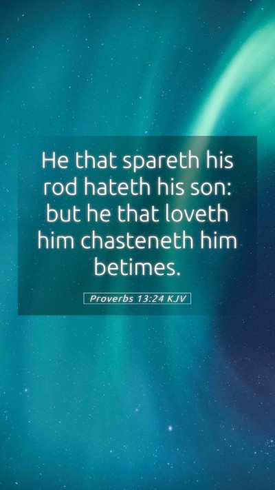 Picture 05 - Proverbs 13:24 KJV Mobile Phone Wallpaper - He that spareth his rod hateth his son: but he - Mobile Bible Verse Wallpaper