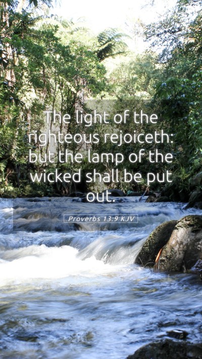 Picture 05 - Proverbs 13:9 KJV Mobile Phone Wallpaper - The light of the righteous rejoiceth: but the - Mobile Bible Verse Wallpaper