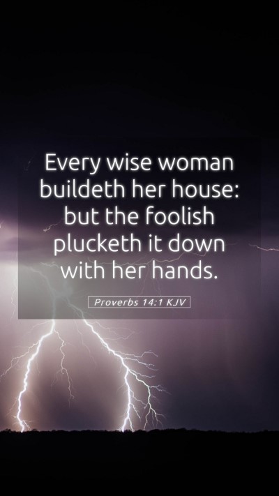 Picture 05 - Proverbs 14:1 KJV Mobile Phone Wallpaper - Every wise woman buildeth her house: but the - Mobile Bible Verse Wallpaper