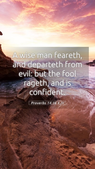 Picture 05 - Proverbs 14:16 KJV Mobile Phone Wallpaper - A wise man feareth, and departeth from evil: but - Mobile Bible Verse Wallpaper