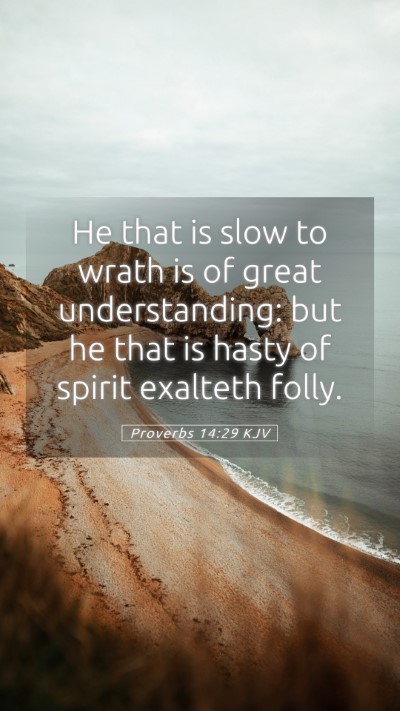 Picture 05 - Proverbs 14:29 KJV Mobile Phone Wallpaper - He that is slow to wrath is of great - Mobile Bible Verse Wallpaper