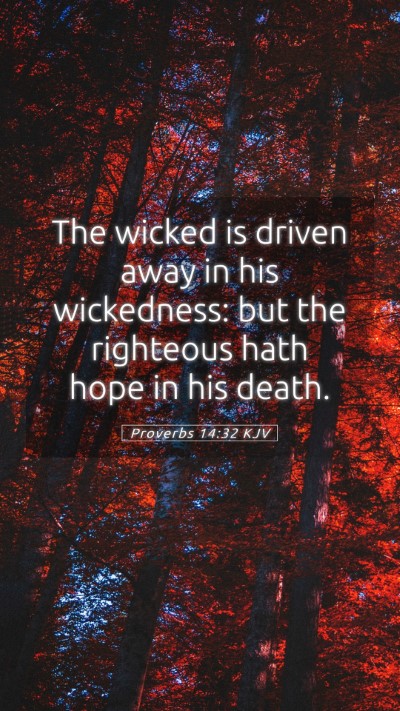 Picture 05 - Proverbs 14:32 KJV Mobile Phone Wallpaper - The wicked is driven away in his wickedness: but - Mobile Bible Verse Wallpaper