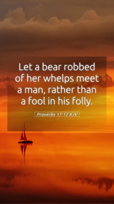 Picture 05 - Proverbs 17:12 KJV Mobile Phone Wallpaper - Let a bear robbed of her whelps meet a man, - Mobile Bible Verse Wallpaper