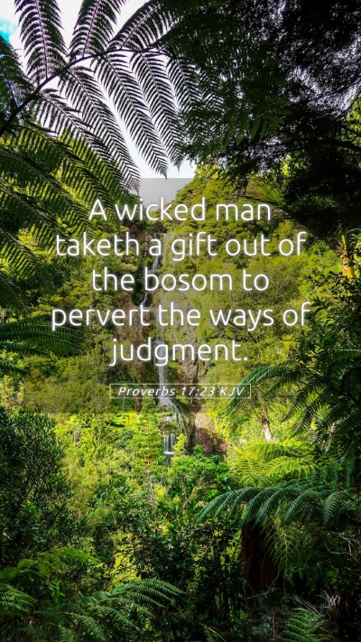 Picture 05 - Proverbs 17:23 KJV Mobile Phone Wallpaper - A wicked man taketh a gift out of the bosom to - Mobile Bible Verse Wallpaper