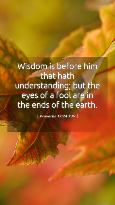 Picture 05 - Proverbs 17:24 KJV Mobile Phone Wallpaper - Wisdom is before him that hath understanding; but - Mobile Bible Verse Wallpaper