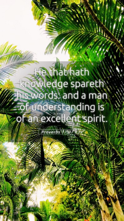 Picture 05 - Proverbs 17:27 KJV Mobile Phone Wallpaper - He that hath knowledge spareth his words: and a - Mobile Bible Verse Wallpaper