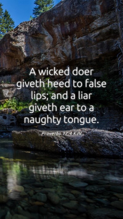Picture 05 - Proverbs 17:4 KJV Mobile Phone Wallpaper - A wicked doer giveth heed to false lips; and a - Mobile Bible Verse Wallpaper