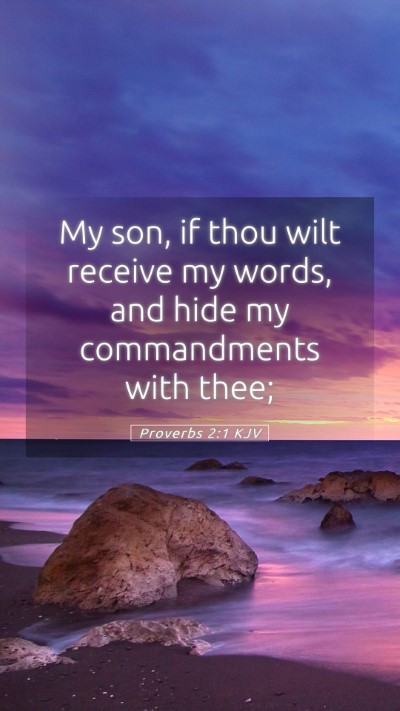 Picture 05 - Proverbs 2:1 KJV Mobile Phone Wallpaper - My son, if thou wilt receive my words, and hide - Mobile Bible Verse Wallpaper