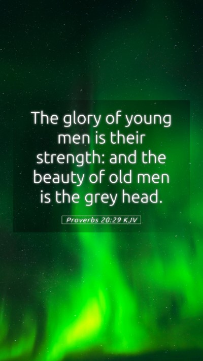 Picture 05 - Proverbs 20:29 KJV Mobile Phone Wallpaper - The glory of young men is their strength: and the - Mobile Bible Verse Wallpaper