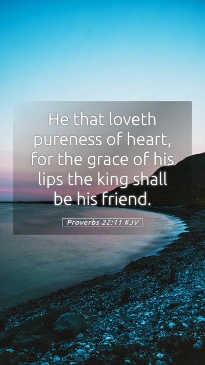 Picture 05 - Proverbs 22:11 KJV Mobile Phone Wallpaper - He that loveth pureness of heart, for the grace - Mobile Bible Verse Wallpaper