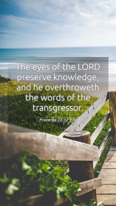 Picture 05 - Proverbs 22:12 KJV Mobile Phone Wallpaper - The eyes of the LORD preserve knowledge, and he - Mobile Bible Verse Wallpaper