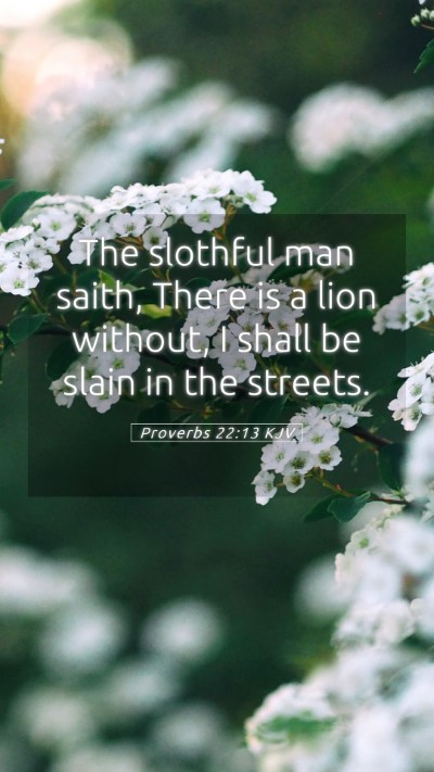 Picture 05 - Proverbs 22:13 KJV Mobile Phone Wallpaper - The slothful man saith, There is a lion without, - Mobile Bible Verse Wallpaper