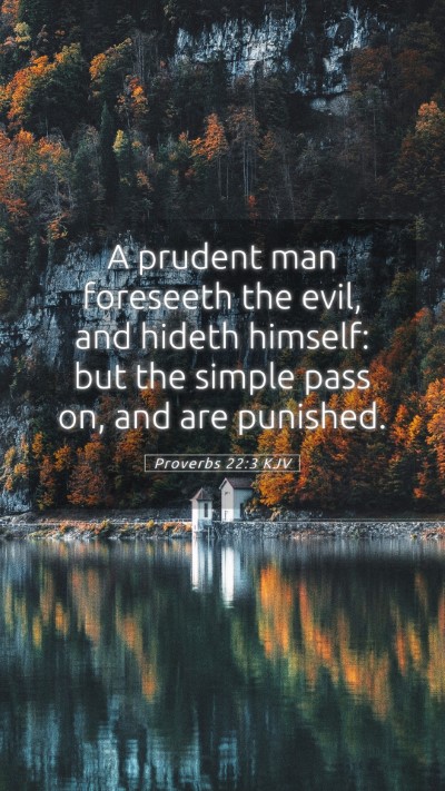 Picture 05 - Proverbs 22:3 KJV Mobile Phone Wallpaper - A prudent man foreseeth the evil, and hideth - Mobile Bible Verse Wallpaper