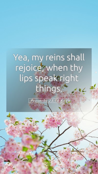 Picture 05 - Proverbs 23:16 KJV Mobile Phone Wallpaper - Yea, my reins shall rejoice, when thy lips speak - Mobile Bible Verse Wallpaper