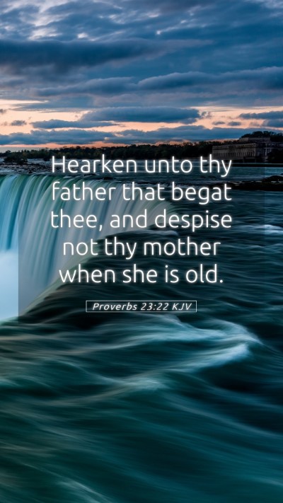 Picture 05 - Proverbs 23:22 KJV Mobile Phone Wallpaper - Hearken unto thy father that begat thee, and - Mobile Bible Verse Wallpaper