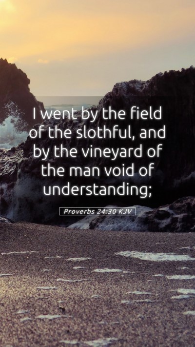 Picture 05 - Proverbs 24:30 KJV Mobile Phone Wallpaper - I went by the field of the slothful, and by the - Mobile Bible Verse Wallpaper