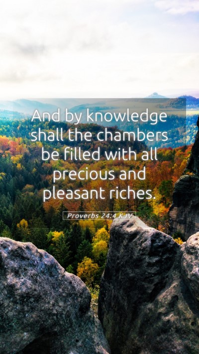 Picture 05 - Proverbs 24:4 KJV Mobile Phone Wallpaper - And by knowledge shall the chambers be filled - Mobile Bible Verse Wallpaper