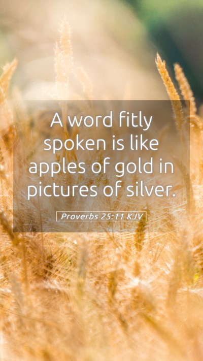 Picture 05 - Proverbs 25:11 KJV Mobile Phone Wallpaper - A word fitly spoken is like apples of gold in - Mobile Bible Verse Wallpaper