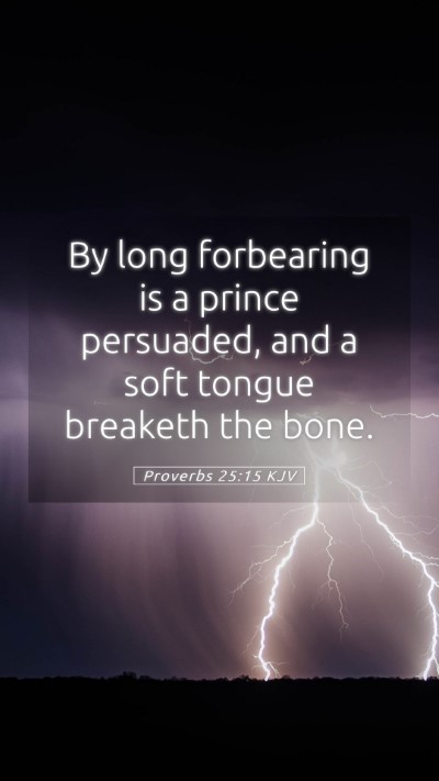Picture 05 - Proverbs 25:15 KJV Mobile Phone Wallpaper - By long forbearing is a prince persuaded, and a - Mobile Bible Verse Wallpaper