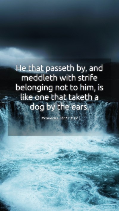 Picture 05 - Proverbs 26:17 KJV Mobile Phone Wallpaper - He that passeth by, and meddleth with strife - Mobile Bible Verse Wallpaper