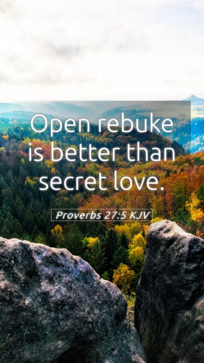 Picture 05 - Proverbs 27:5 KJV Mobile Phone Wallpaper - Open rebuke is better than secret - Mobile Bible Verse Wallpaper