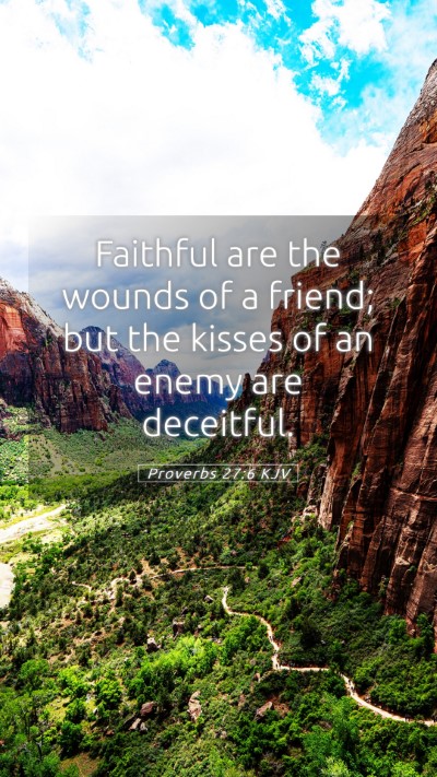 Picture 05 - Proverbs 27:6 KJV Mobile Phone Wallpaper - Faithful are the wounds of a friend; but the - Mobile Bible Verse Wallpaper