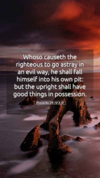 Picture 05 - Proverbs 28:10 KJV Mobile Phone Wallpaper - Whoso causeth the righteous to go astray in an - Mobile Bible Verse Wallpaper