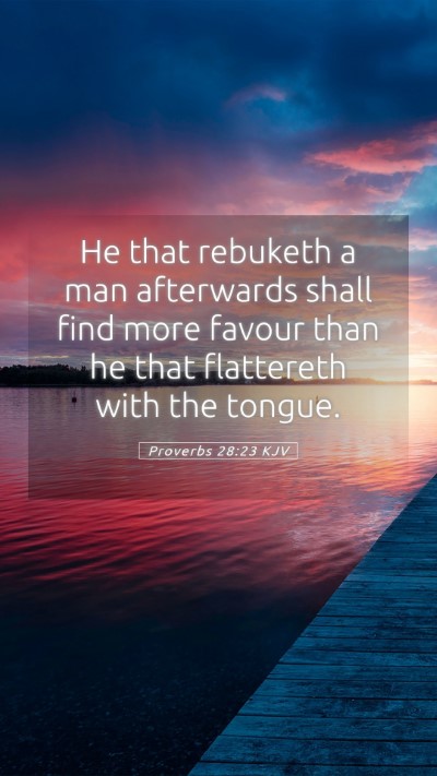 Picture 05 - Proverbs 28:23 KJV Mobile Phone Wallpaper - He that rebuketh a man afterwards shall find more - Mobile Bible Verse Wallpaper