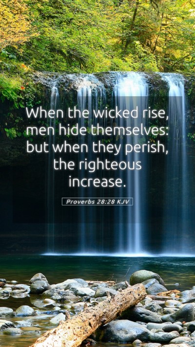 Picture 05 - Proverbs 28:28 KJV Mobile Phone Wallpaper - When the wicked rise, men hide themselves: but - Mobile Bible Verse Wallpaper