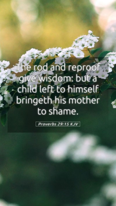 Picture 05 - Proverbs 29:15 KJV Mobile Phone Wallpaper - The rod and reproof give wisdom: but a child left - Mobile Bible Verse Wallpaper