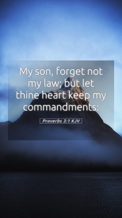 Picture 05 - Proverbs 3:1 KJV Mobile Phone Wallpaper - My son, forget not my law; but let thine heart - Mobile Bible Verse Wallpaper