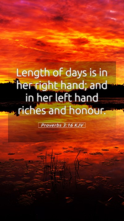Picture 05 - Proverbs 3:16 KJV Mobile Phone Wallpaper - Length of days is in her right hand; and in her - Mobile Bible Verse Wallpaper