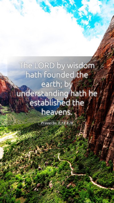 Picture 05 - Proverbs 3:19 KJV Mobile Phone Wallpaper - The LORD by wisdom hath founded the earth; by - Mobile Bible Verse Wallpaper